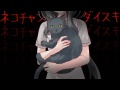 ...『ネコチャン』を探すことになりました。